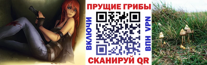 Галлюциногенные грибы Magic Shrooms  Купить  Курлово 